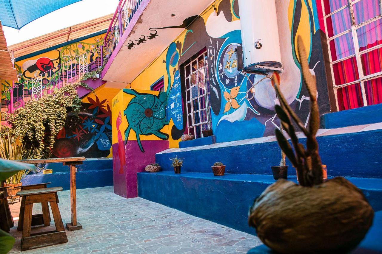 Hostal Chesal San Luis Potosí Kültér fotó