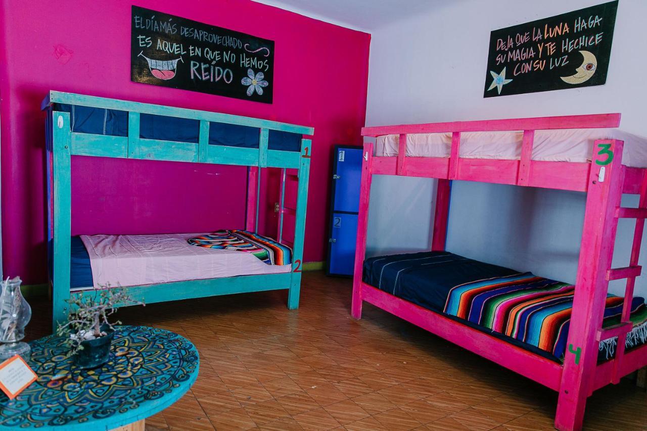 Hostal Chesal San Luis Potosí Kültér fotó