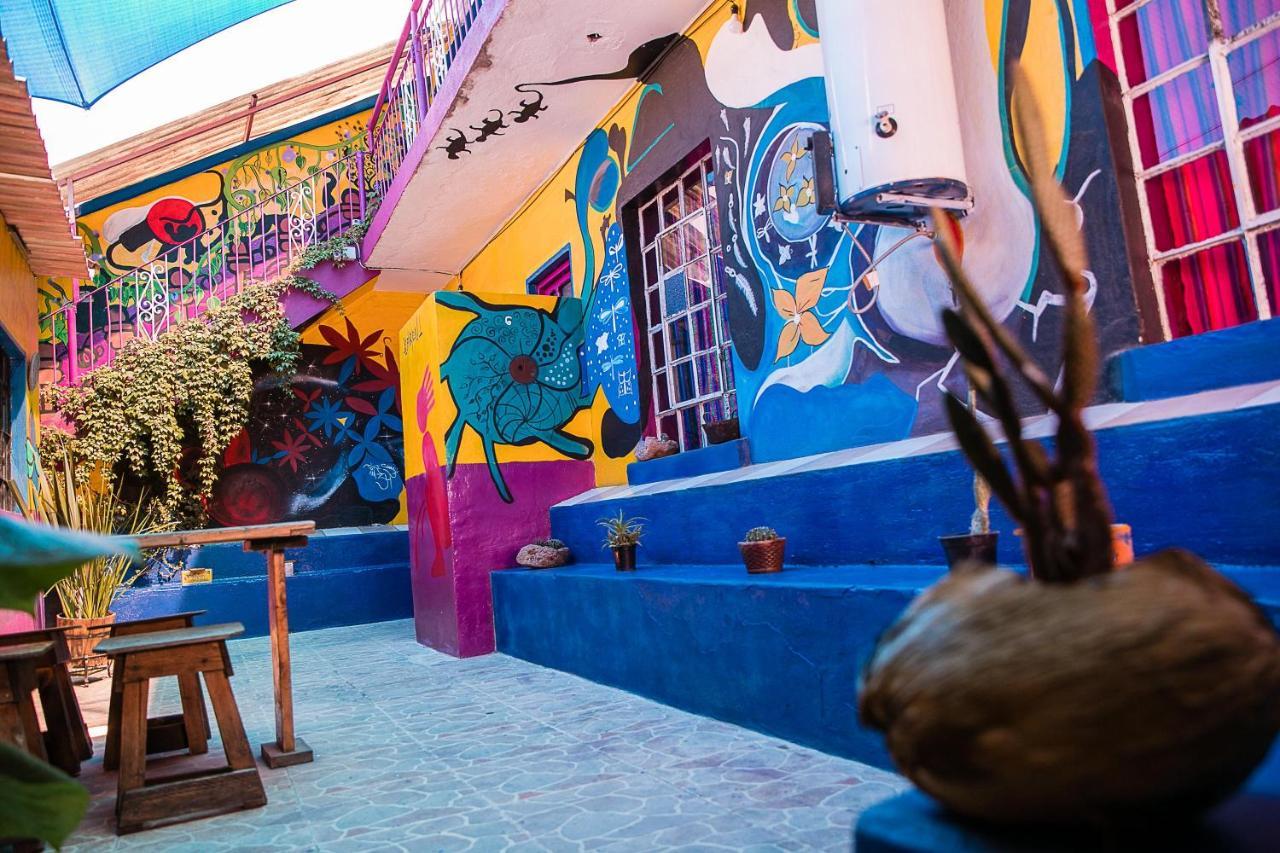 Hostal Chesal San Luis Potosí Kültér fotó