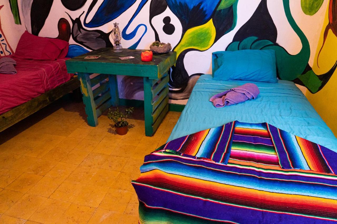 Hostal Chesal San Luis Potosí Kültér fotó
