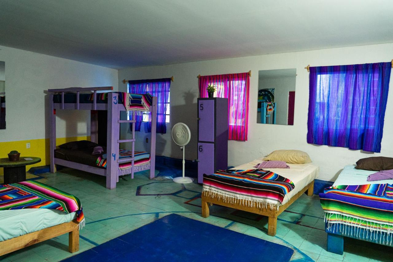 Hostal Chesal San Luis Potosí Kültér fotó
