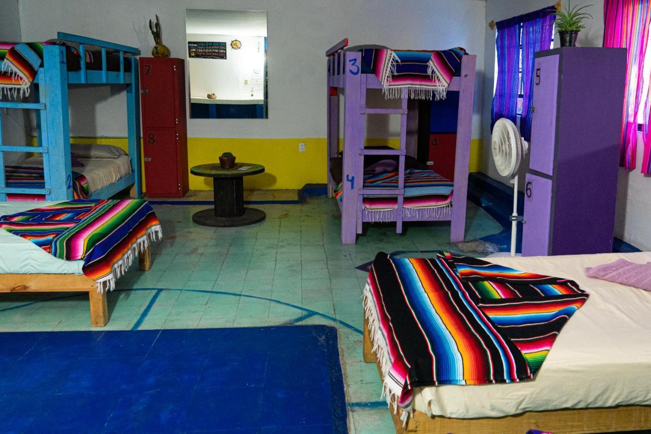 Hostal Chesal San Luis Potosí Kültér fotó